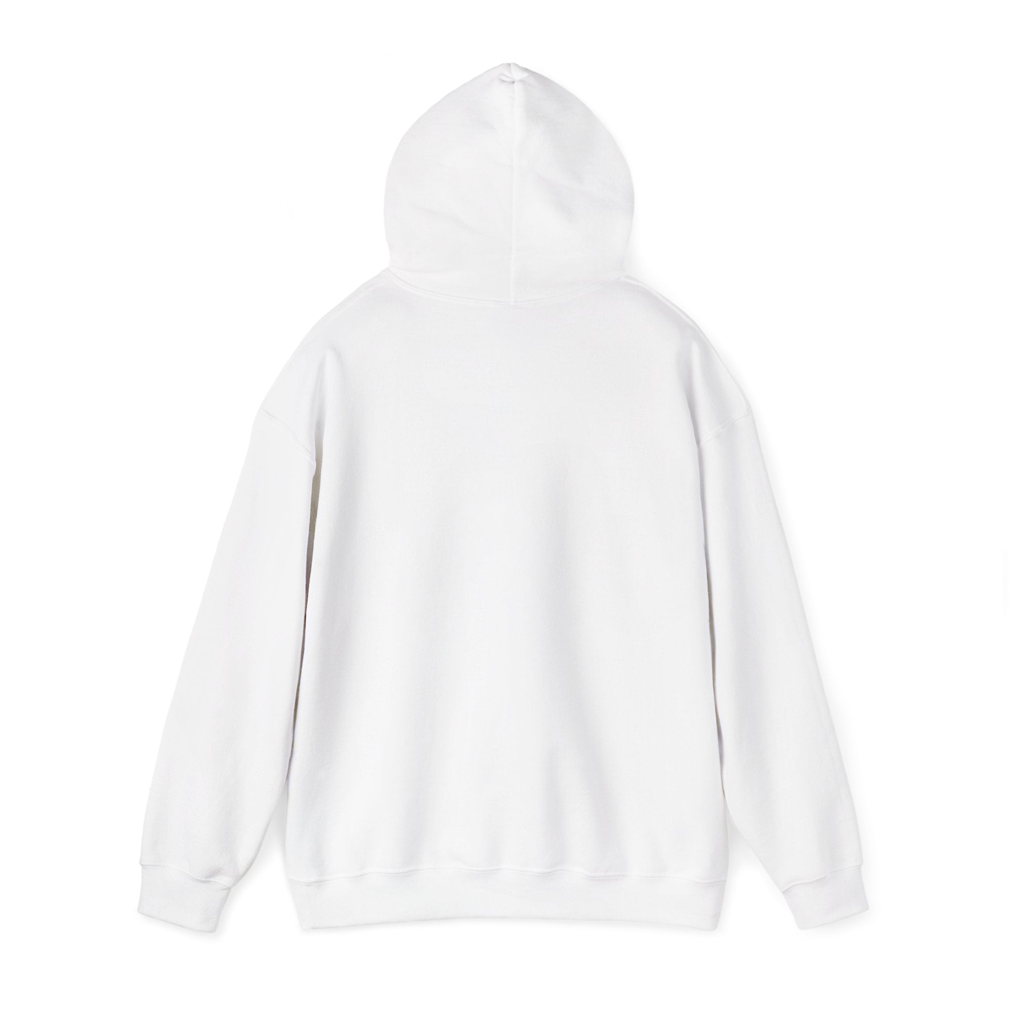 Sugar Ray Experience™ Hooded Sweatshirt
