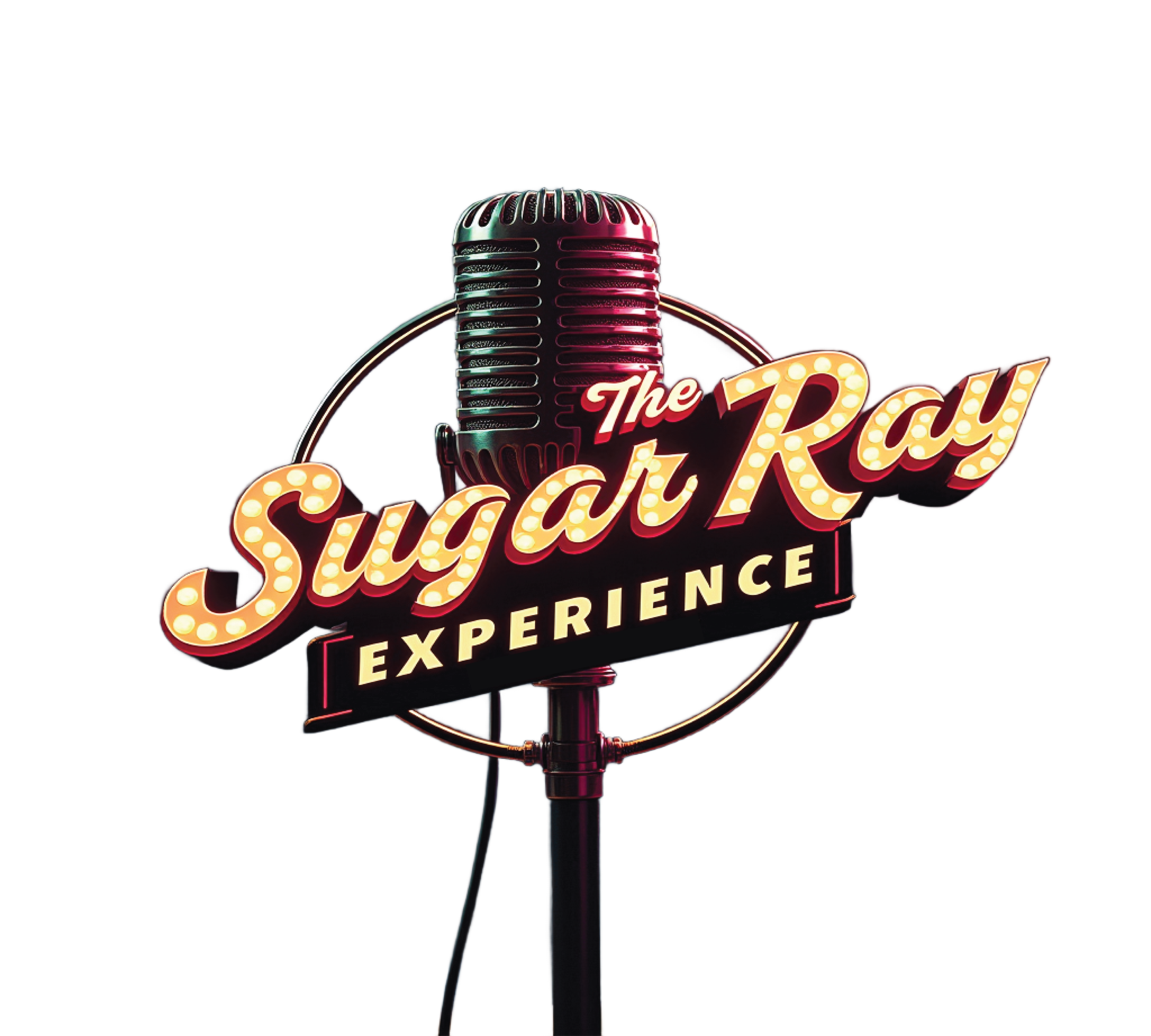 The Sugar Ray Experience